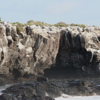 Ecuador, Galapagos. Espanola Island,  Suarez Point