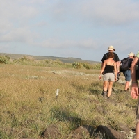 Ecuador, Galapagos. Espanola Island,  Suarez Point