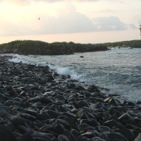 Ecuador, Galapagos. Espanola Island,  Suarez Point