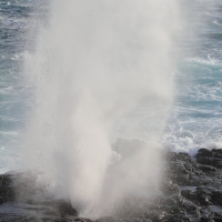 Ecuador, Galapagos. Espanola Island,  Suarez Point