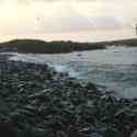 Ecuador, Galapagos. Espanola Island,  Suarez Point