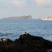 Ecuador, Galapagos. Santa Cruz, Cero Dragon.