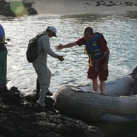 Ecuador, Galapagos. Santa Cruz, Cero Dragon.