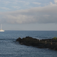 Ecuador, Galapagos. Santa Cruz, Cero Dragon.