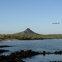 Ecuador, Galapagos. Santa Cruz, Cero Dragon.