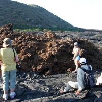 Ecuador, Galapagos. Santiago Island (Sullivan Bay)