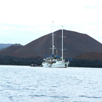 Ecuador, Galapagos. Santiago Island (Sullivan Bay)