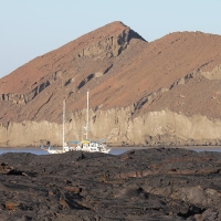 Ecuador, Galapagos. Santiago Island (Sullivan Bay)