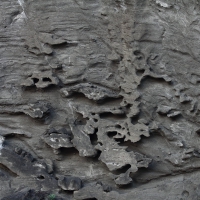 Ecuador, Galapagos. Santiago Island (Sullivan Bay)