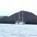 Ecuador, Galapagos. Santiago Island (Sullivan Bay)