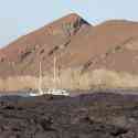 Ecuador, Galapagos. Santiago Island (Sullivan Bay)