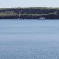 Ecuador, Galapagos. Tower Island