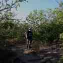 Ecuador, Galapagos. Tower Island