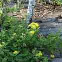 Ecuador, Galapagos. Tower Island