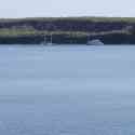 Ecuador, Galapagos. Tower Island