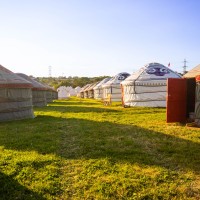 Glastonbury 2022, Love Fields Yurts