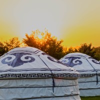 Glastonbury 2022, Love Fields Yurts