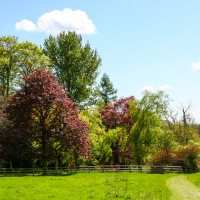 Greys Court