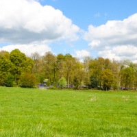 Greys Court