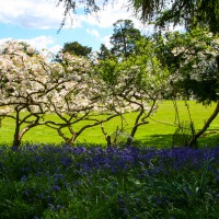 Greys Court