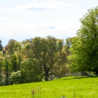Greys Court