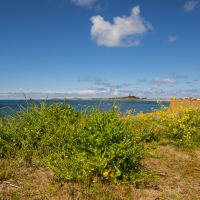 View of Lihou Island and L'Eree