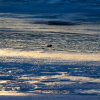 Iceland - The setting sun