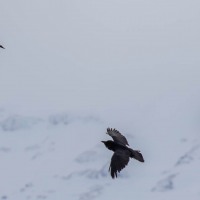 Grundarfjörður