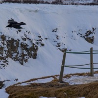 Gullfoss