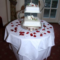 Lucy Jones and Will Searle Wedding