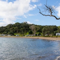 Puriri Bay Campsite