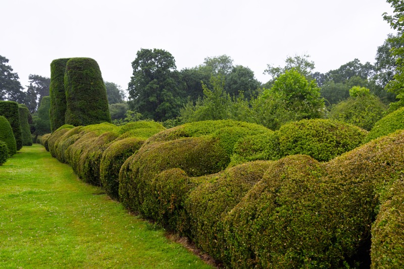 National Trust - Packwood House