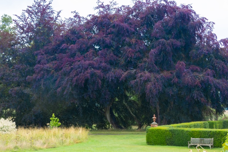 National Trust - Packwood House