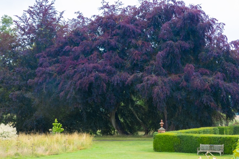 National Trust - Packwood House