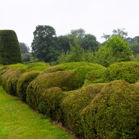 National Trust - Packwood House