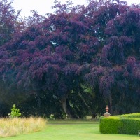 National Trust - Packwood House