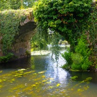 Warwick - Mill Garden