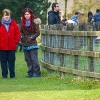 Whipsnade