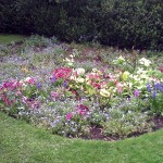 Flower bed in Warkwickshire