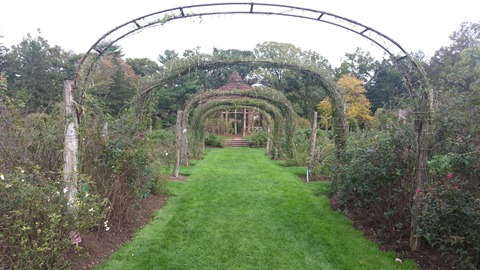 Elizabeth Rose Gardens, Hartford, CT