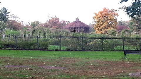 Elizabeth Rose Gardens, Hartford, CT