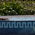 Mallards in the La Grand Mare hot tubMallards in the La Grand Mare hot tub