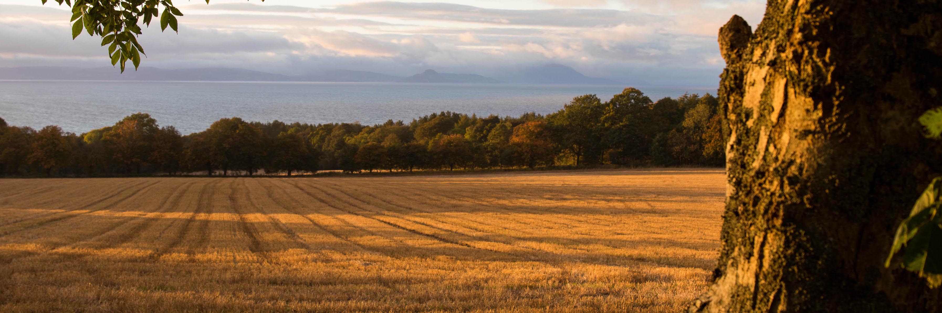 Culzean Castle Caravan and Camoing club